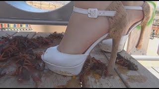 N115 Bug Crush Teaser - White stiletto sandals and Crayfish