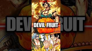 What Happens if Two People Eat the Same Devil Fruit?  One Piece