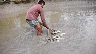 Net Fishing  Traditional Cast Net Fishing In The Village Pond  Fishing By Cast Net  Part -35