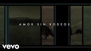 Gustavo Cerati - Amor Sin Rodeos Official Visualizer