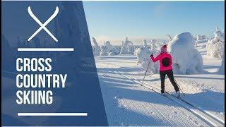 Cross Country skiing on a Lapland holiday   Iglu Ski