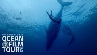 International OCEAN FILM TOUR Volume 6  Official Trailer