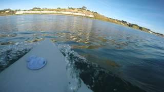 Great White Shark Encounter Surfing in Santa Cruz CA