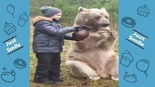 Most Funniest Cute Animals - Try Not to Laugh - Funny Animals Life