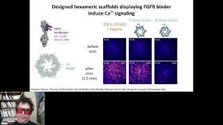 Protein design using deep learning - David Baker - 3DSIG - Keynote - ISMB 2022