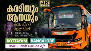 കരടിയും ആനയും ബസിന് മുമ്പിൽ  Kottayam to Bangalore KSRTC Bus via Mudumalai - Bandipur Tiger Reserve