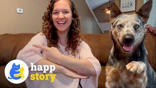 A Deaf Woman and Her Deaf Dog An Inspiring Story of Love and Resilience HAPP