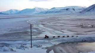 Dog Sledding by Drone in Svalbard Islands - by Husky Travellers
