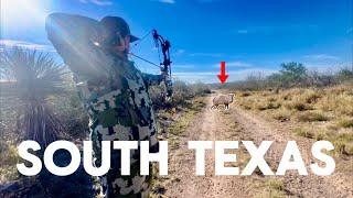 Bowhunting South Texas I Messed Up…