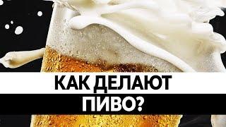 Как ДЕЛАЮТ ПИВО? Польза и вред пива. Вся правда