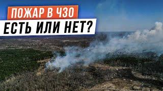 ПОЖАР В ЧЕРНОБЫЛЬСКОЙ ЗОНЕ ВИДЕО-2  АПРЕЛЬ 2020  ПОСЛЕДСТВИЯ ПОЖАРА В ЧЗО