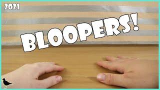 Our Food Review Bloopers & Mistakes from 2021  Birdew Reviews
