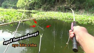 SPOT TERSEMBUNYI  AYO KITA COBA DENGAN UMPAN PELET  mancing liar ngantang Eps 59