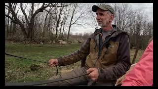 Flowers for the Pond & Exercising the Draft Horses #623