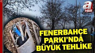 Elektrik kabloları açıkta duruyor Fenerbahçe Parkı’nda büyük tehlike  A Haber