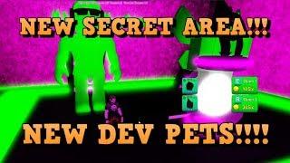 NEW SECRET AREA AND DEV PETS FOR ROBLOX GAME PEW PEW SIMULATOR