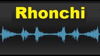 Rhonchi  Breath Sounds