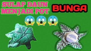 Tutorial Membuat Pot Mewah Dari Daun Bunga..??