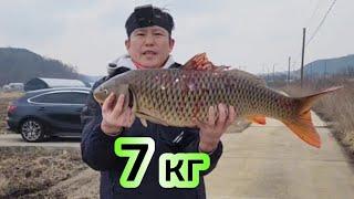 Огромные сазаны на дергач #fishing #рыбалка #낚시