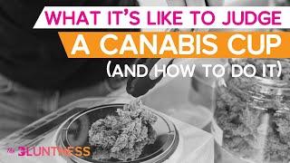 What Its Like to Judge a Cannabis Cup and how to do it  The Edge ft Dank Duchess