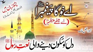 New NAAT in Pashto  Aye Khoga Paighambara Aye Methay Paighambar ﷺ Fazal Malik  Islamic Releases