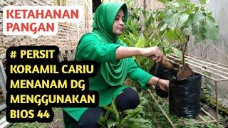 Ketahanan pangan#Persit ranting 09 koramil 08 Cariu