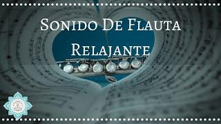  SONIDO DE FLAUTA  SONIDO INSTRUMENTAL DE FLAUTA 1 HORA - Music Therapy