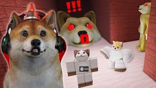 Lari Dari Kejaran Doggy Ganas Penculik Kucing - Roblox Indonesia