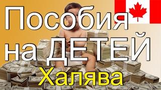 ХАЛЯВА в Канаде №1. $16260 в ГОД на ДЕТЕЙ $$ #12