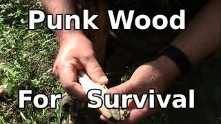 Punk Wood - Backwoods Tips For Fire Use