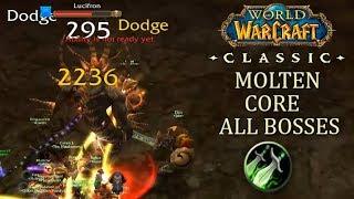 Melee DPS is FUN Molten Core All Bosses Rogue PoV  Classic WoW Gameplay Raid
