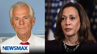 Peter Navarro Kamala Harris has done damnable things to this country