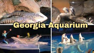 Vlog conhecendo o Maior aquário dos Estados Unidos-Georgia Aquarium  Vlog da Milli