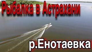 Рыбалка в Астрахани Енотаевка Судак ловится на эту резину Рыбалка на спиннинг