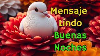 Mensaje de BUENAS NOCHES Frases de Buenas Noches Reflexión Feliz Noche Bendiciones Ábrelo