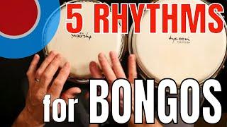 Five Rhythms for Bongos  Easy