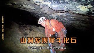 贵州发现神秘山洞，小伙进入探索，发现犀牛化石