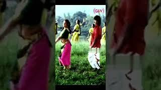 #trending #tamilhits #shorts #songs @mastermusiccollectionsongs