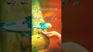 Best Urdu Poetry WhatsApp Status  Urdu Shayari Status  Heart Touching Poetry