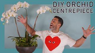 Real Orchid DIY Centerpiece Clever Set-Up for Orchid Aftercare #houseplants #orchids #diy