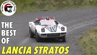 The BEST of LANCIA STRATOS Sound  RAC Rally 2023  Pure Sound & Highlights