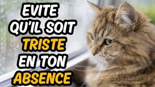 Si tu veux que ton chat ne sois pas TRISTE quand tu QUITTES la maison Suis ces 9 Conseils