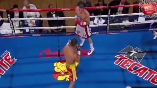 PACQUIAO VS. VARGAS FULL KNOCK OUT PUNCH HIGHLIGHTS