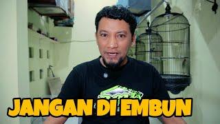 BURUNG SEPERTI INI JANGAN DI EMBUN