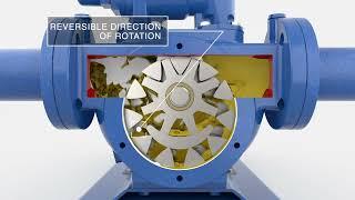 Internal gear Varisco pump How it works