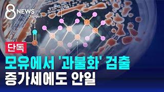 단독 모유에서 과불화 검출…증가세에도 안일  SBS 8뉴스