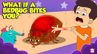 What if a Bed Bug Bites You?  Bed Bugs How to Get Rid of Them  Blood Sucking Insect  Dr. Binocs