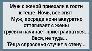 Как Теща Ночью Молодым в Стену Стучала Сборник Свежих Анекдотов Юмор