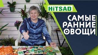 ЧТО ВЫРАСТЕТ САМЫМ ПЕРВЫМ ️ СУПЕР РАННИЕ ОВОЩИ И ЗЕЛЕНЬ ️ Ранние посадки овощей с Хитсад ТВ