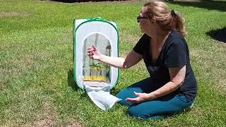 Seven Monarch Butterflies Released